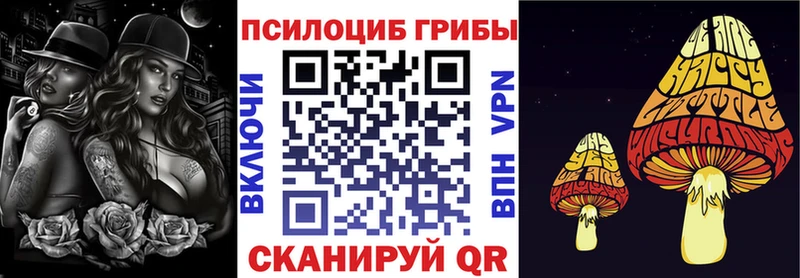 Купить Бирск Галлюциногенные грибы прущие грибы