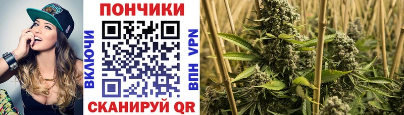 МАРИХУАНА сатива  Купить  Бирск 